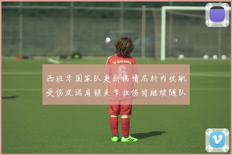 西班牙国家队更新伤情尼科内收肌受伤皮诺肩锁关节扭伤将继续随队训练